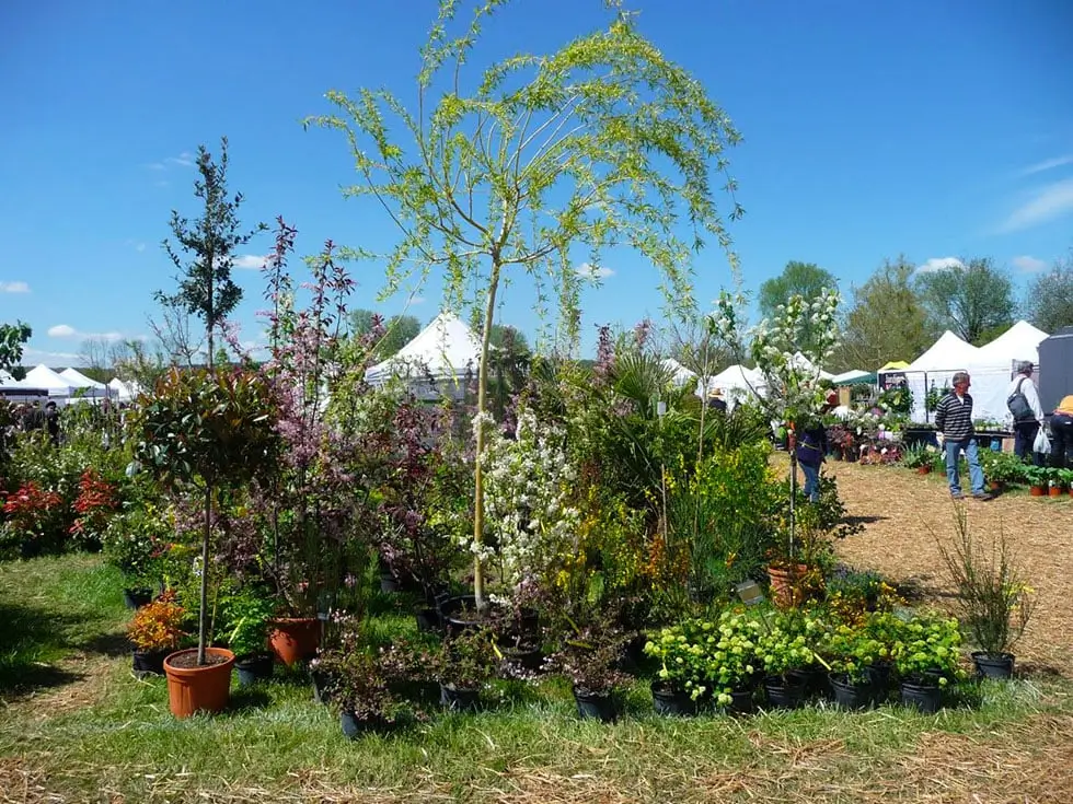 Vue du salon et de ses allées